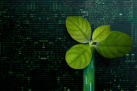 Enhancing Sustainability: DEEP Gold Certification