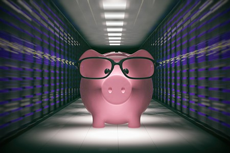 pig in data center