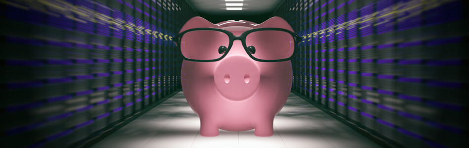 pig in data center